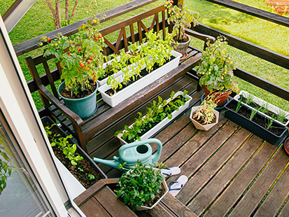 Jardinage d’intérieur
